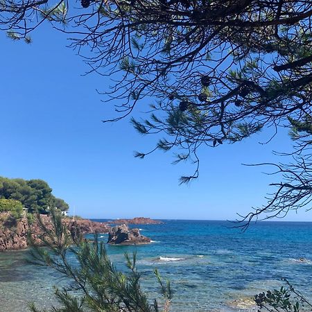Studio Climatise Avec Piscine Saint-Raphael  Luaran gambar